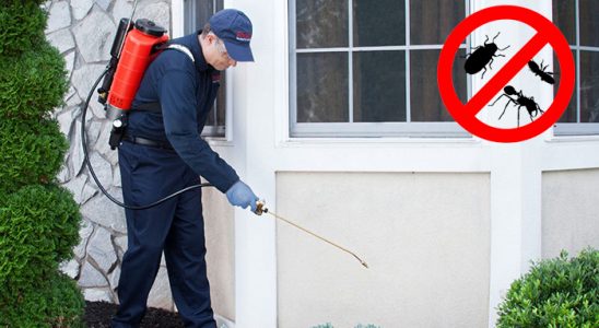Eskifoça Fare İlaçlama böcek ilaçlama ve haşere kontrolü — ilaclama-tr.com
